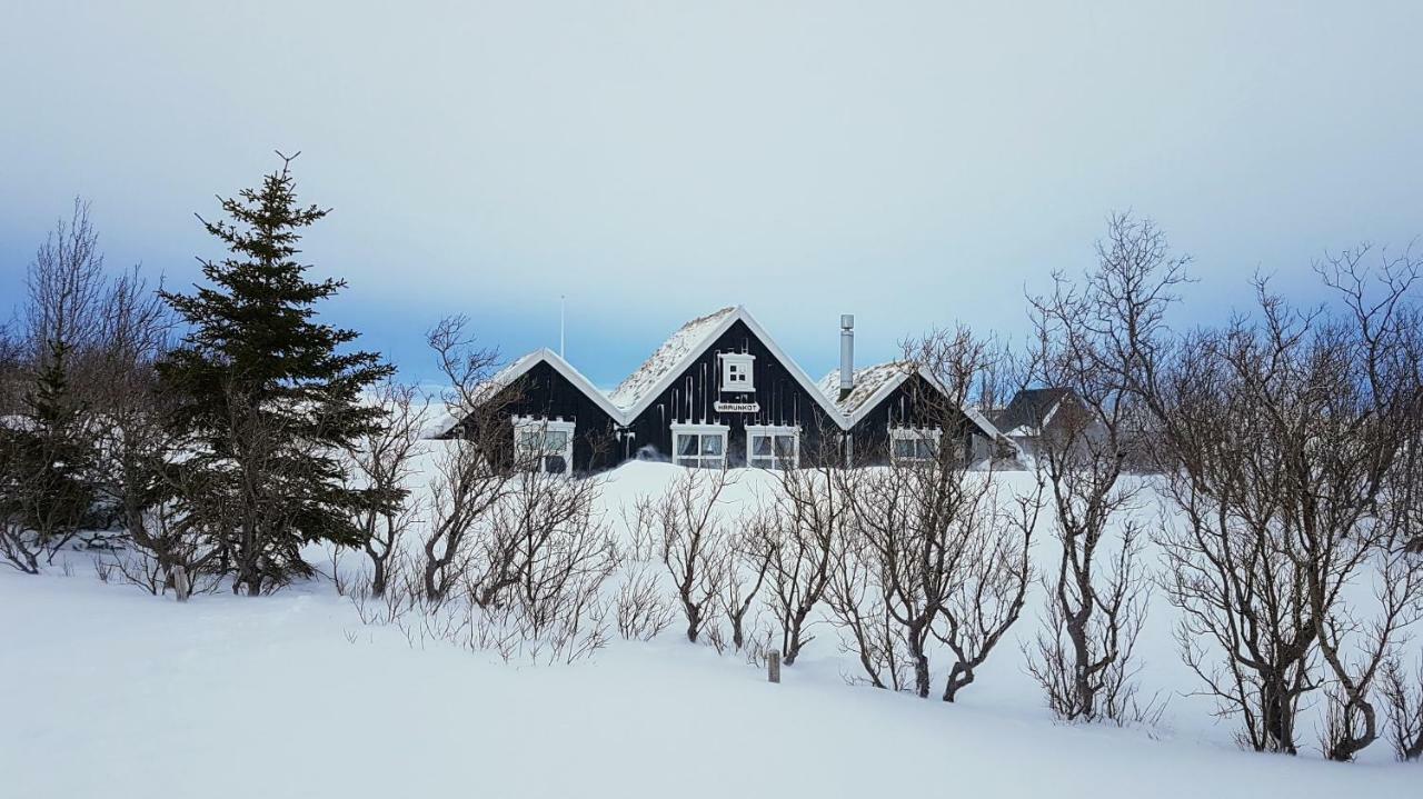 Þingvellir Golden Circle Cottage Veithilundur Kültér fotó